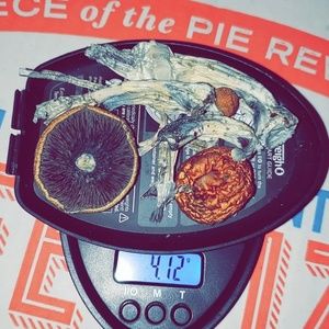 Meet your Posher, Scott